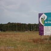 elmsoat